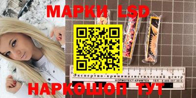 тгк Будённовск