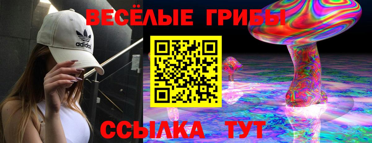Псилоцибиновые грибы Cubensis Сухой Лог